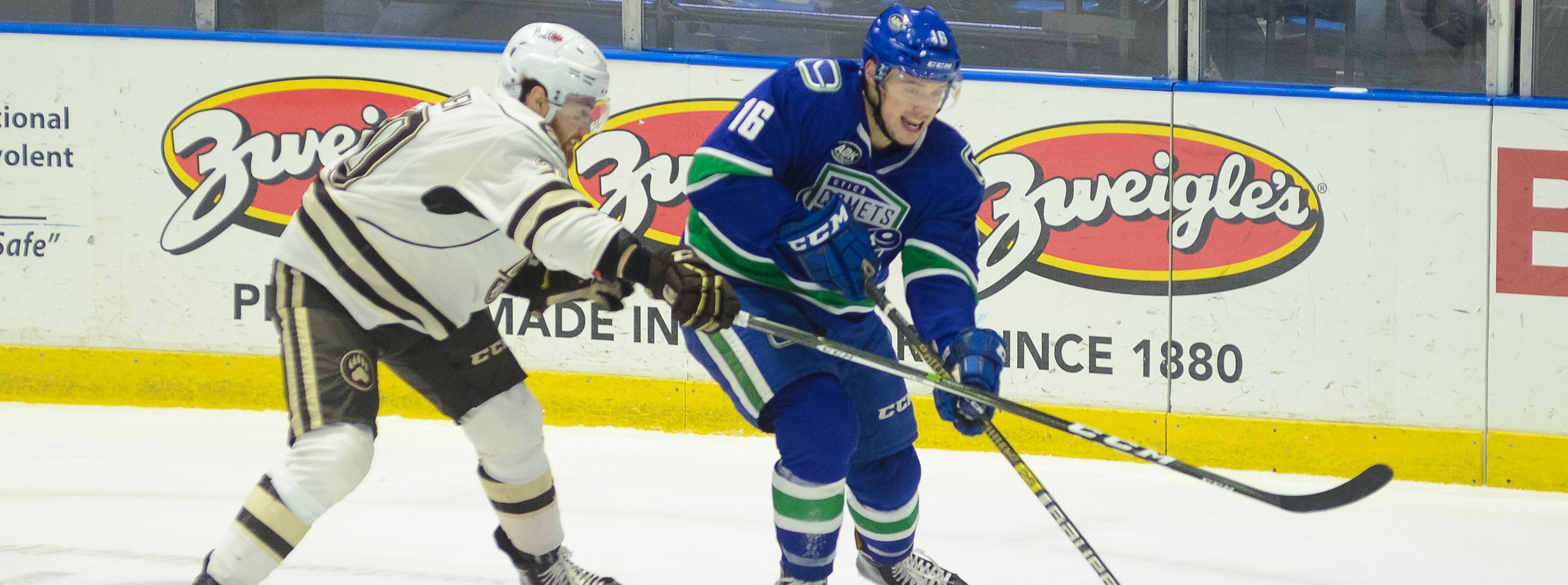 COMETS TAKE ON BEARS IN CHOCOLATETOWN
