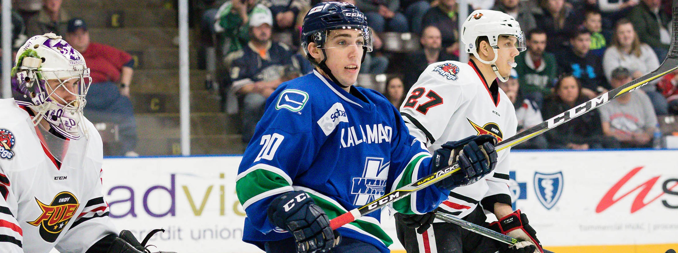 COMETS SIGN FORWARD BRENDAN BRADLEY