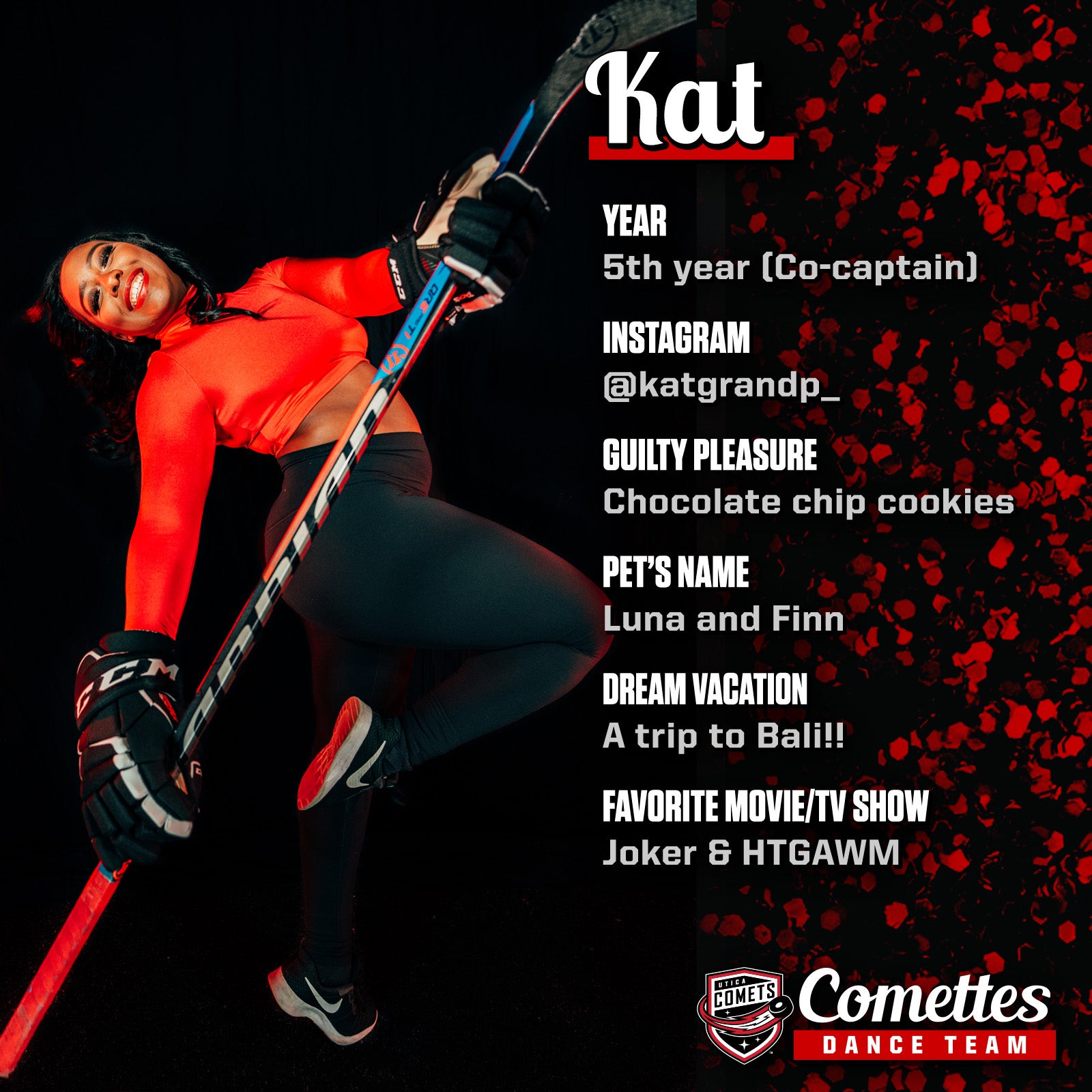 Meet The Comettes_Template_Kat copy.jpg