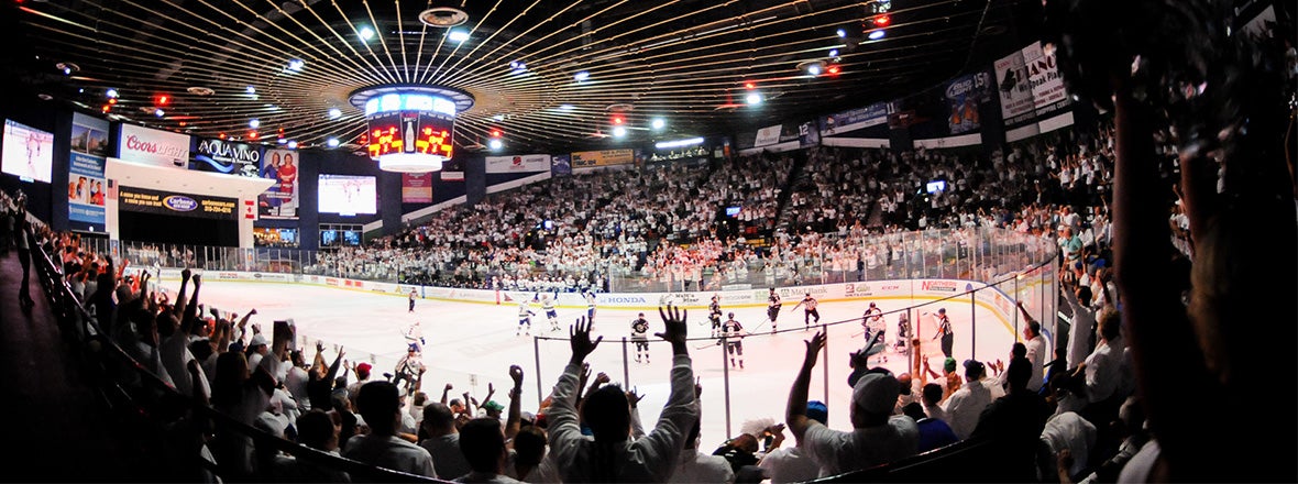 WHITEOUT FOR PLAYOFFS RETURNS TO UTICA