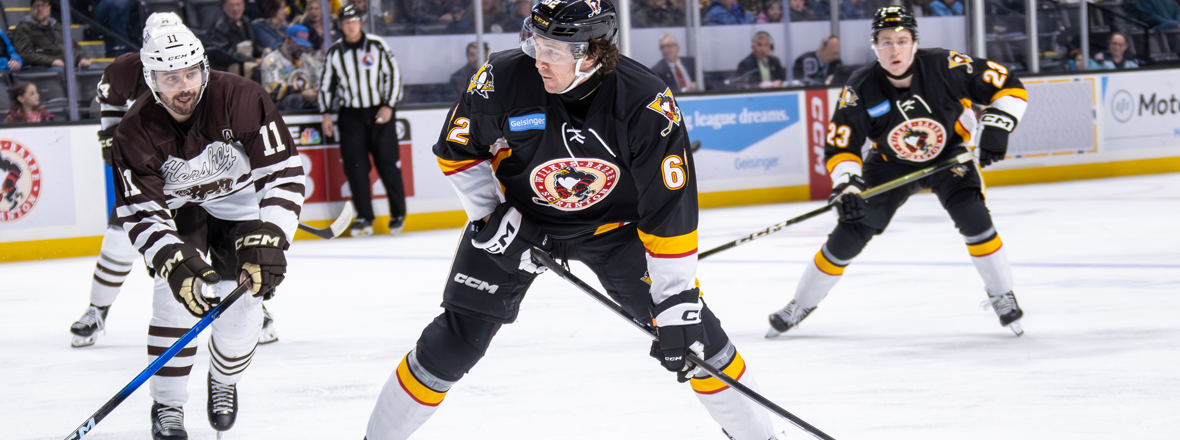 Chatting with Comets' Forward, Zach Gallant
