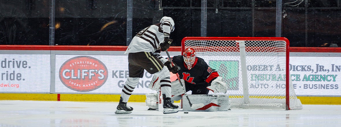 Comets Earn Point in OT Loss to Hershey