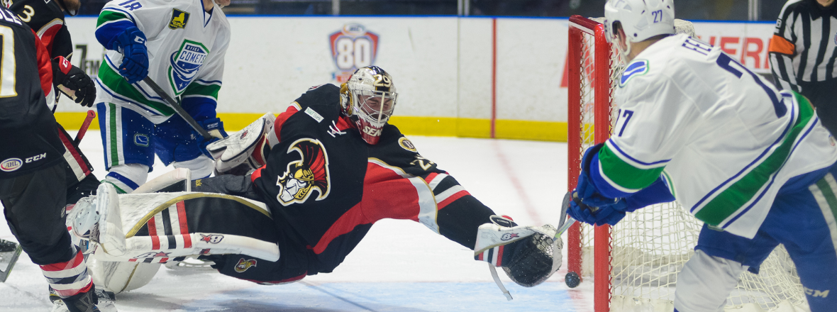 Comets on the Cusp of Calder Cup Playoffs