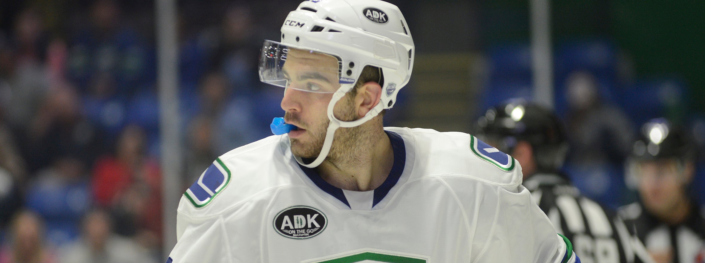 COMETS RECALL REID GARDINER FROM KALAMAZOO