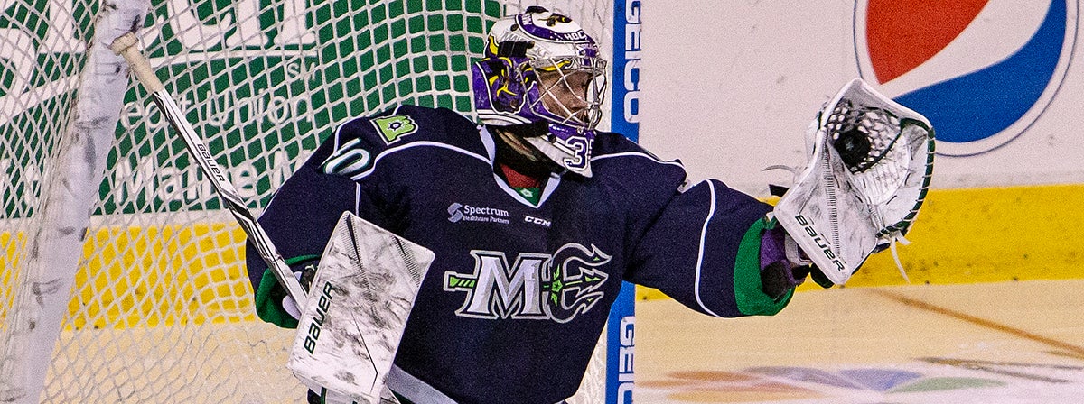 COMETS SIGN GOALTENDER CONNOR LACOUVEE TO A PTO