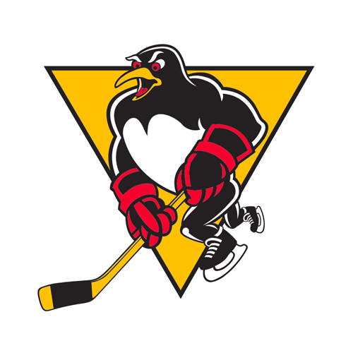 Wilkes-Barre/Scranton Penguins